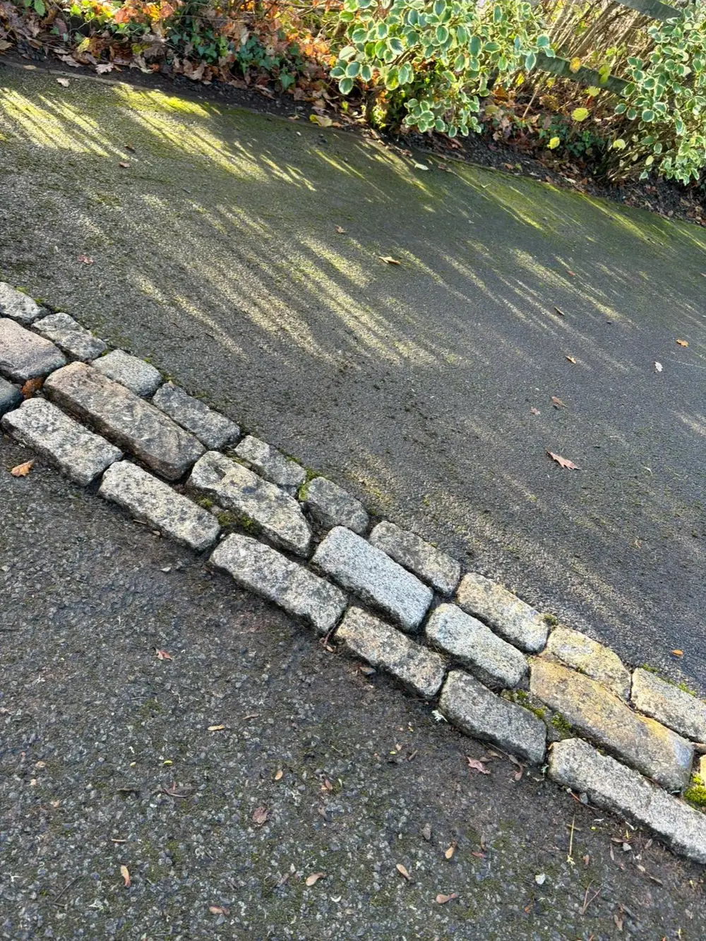 Driveway half pressure washed showing the clean and dirty sections