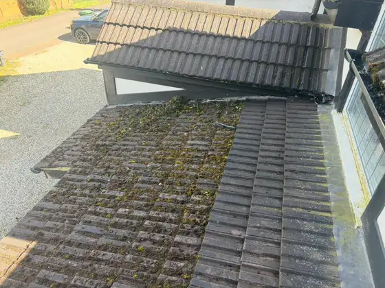 Moss-covered concrete tiles on a porch roof before cleaning