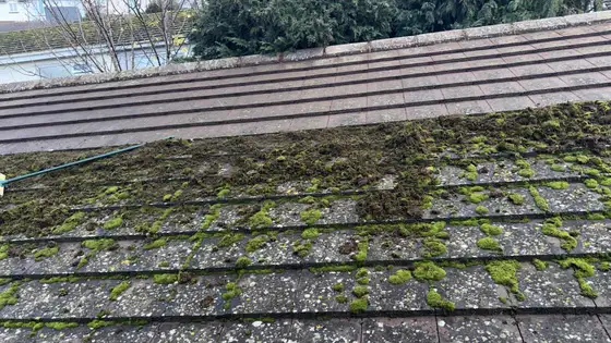 Concrete roof tiles covered in moss before cleaning