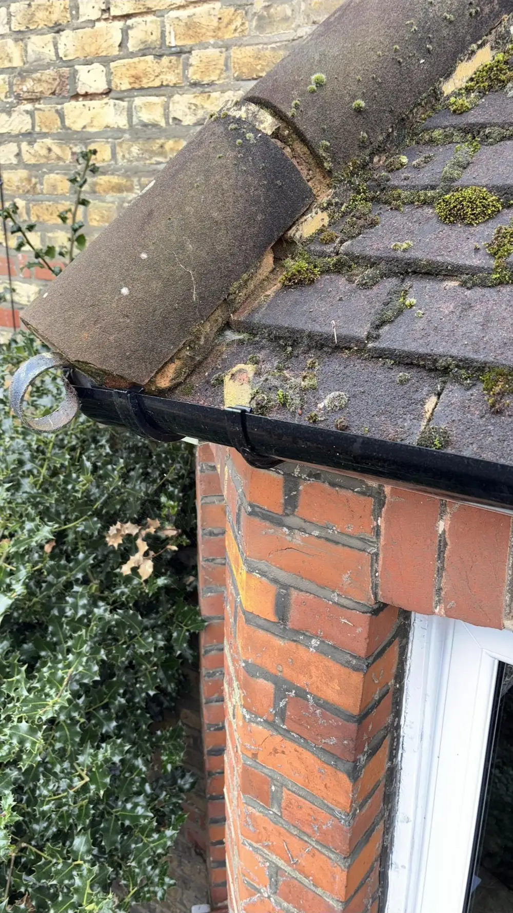 Moss on ridge tiles and gutter at the corner of a brick house