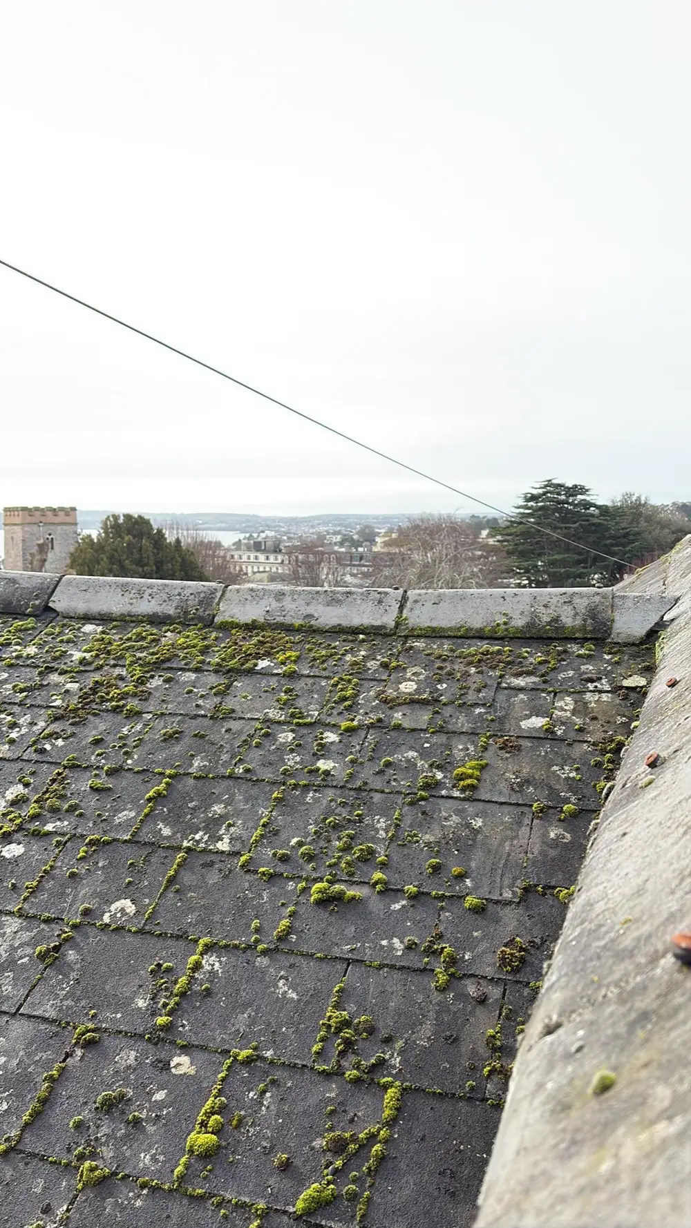 Moss growing on a slate roof with a sea view beyond