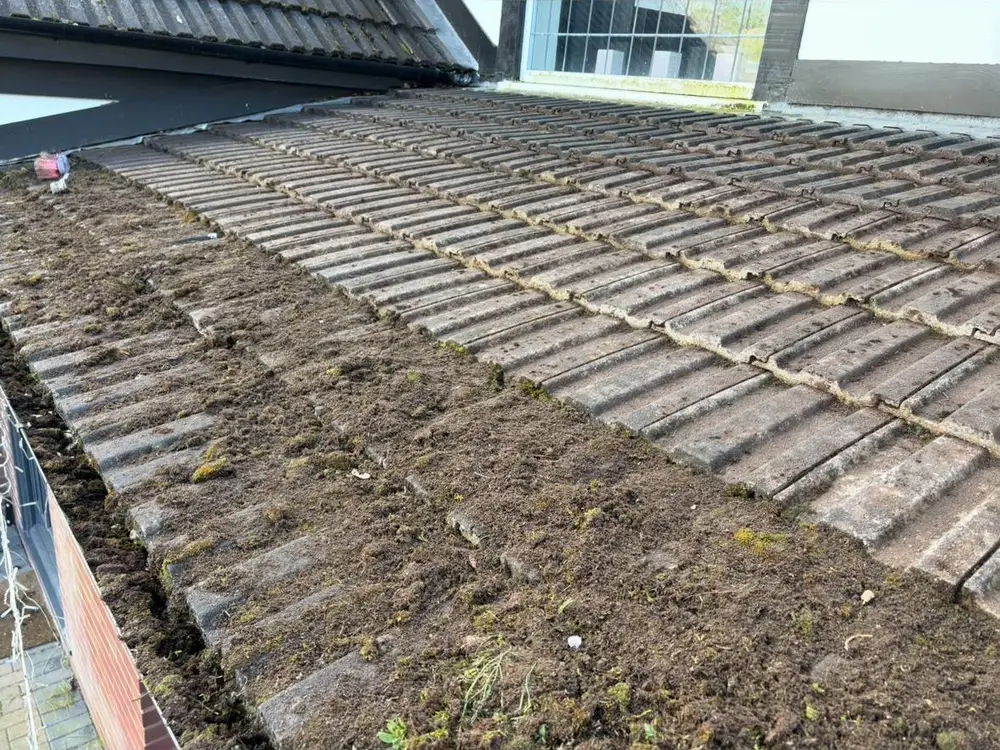Roof tiles part way through moss scraping
