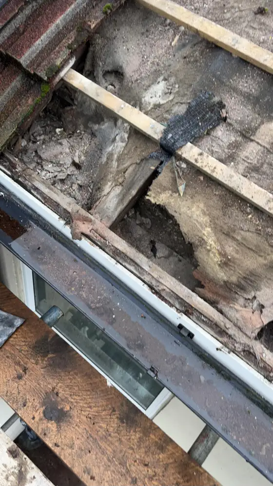 Rotten felt and battens exposed after stripping an old roof